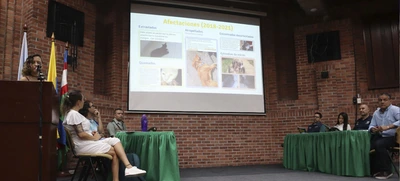 Los animales, los más afectados por el uso de pólvora en Cali