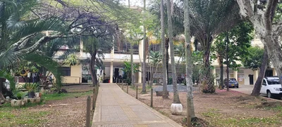Para 2023, zonas verdes de Escuela Normal Superior Farallones de Cali se proyectan como bosque urbano