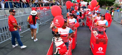 Papi y Mami vinieron al Salsódromo a buscar hogar
