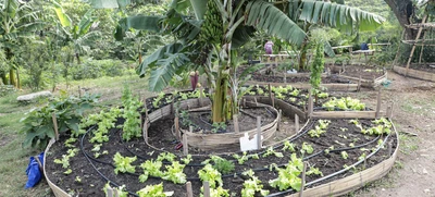 Cali referente nacional en estrategias de soberanía alimentaria con 783 iniciativas agroecológicas