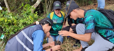 El ‘Bosque de los Estudiantes’: 7000 árboles con pasión juvenil por Cali