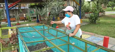 Este año, se fortalecerán 100 huertas más en los comedores comunitarios