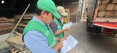 Operativos de control al tráfico de flora silvestre continúan dando resultados