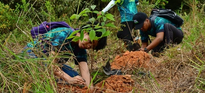 Cali es distinguida como una de las ‘Ciudades Árbol del Mundo’