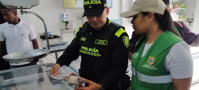 Dagma inicia operativos contra el tráfico de fauna y flora silvestre
