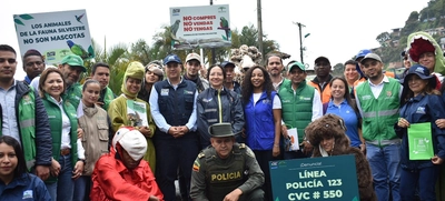 Autoridades ambientales hacen equipo para proteger el gran Bosque Pacífico