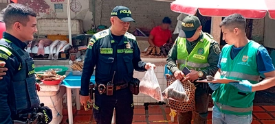 Reconozca las especies de fauna silvestre más amenazadas en Semana Santa