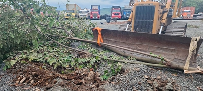 Dagma detecta reincidencia en transgresión ambiental