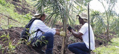 Foro ciudadano ‘Jardines para la ReactivAcción’