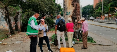 Grave agresión a ceiba notable en la calle quinta
