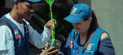 Autoridad sanitaria realiza acciones para prevenir y controlar enfermedades de transmisión vectorial