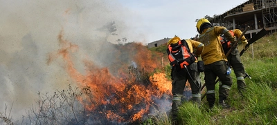 “Todos estos incendios son provocados en forma dolosa”: Rodrigo Zamorano