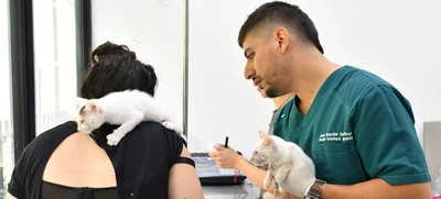 El registro de establecimientos veterinarios ya se realiza en línea