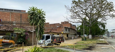 Comenzó el traslado de árboles en el Bulevar de Oriente