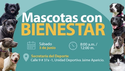 El sábado 3 de junio se realizará jornada de bienestar para mascotas de personal de la Alcaldía de Cali