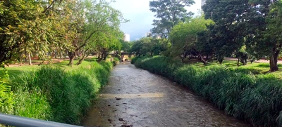 El río Cali presenta un Índice de Calidad de Agua ‘aceptable’: Dagma