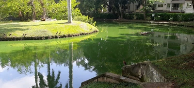 El agua es nuestra mejor aliada: ¡cuidémosla!