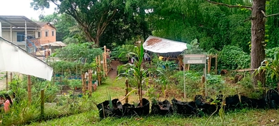 En el Día del Medio Ambiente, estudiantes refrendan su compromiso con la seguridad alimentaria