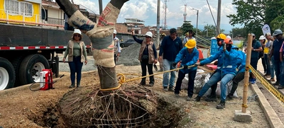 Alcaldía de Cali realizó traslado de árboles al Bulevar de Oriente