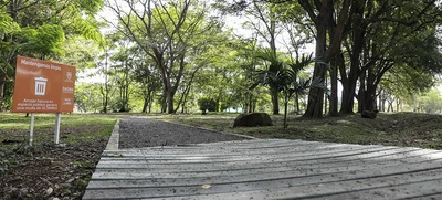 Red de Bosques Urbanos, un tesoro construido por caleños y caleñas