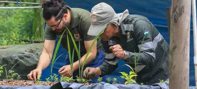 El jardinero que ayudó a evitar la extinción del Burilico