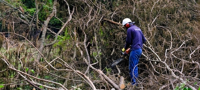 Avanza adecuación de terreno donde se construirá nuevo parque de huertas urbanas