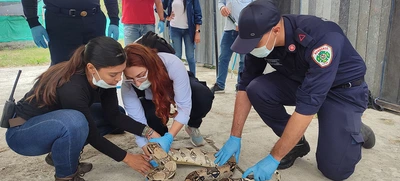 Dagma y CVC capacitan a organismos de rescate y autoridades en manejo de fauna silvestre