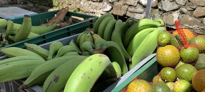 CIEC: baja en inflación alivia el costo de la canasta familiar de caleños