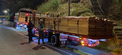 Continúan operativos de vigilancia y control al tráfico y transporte de madera