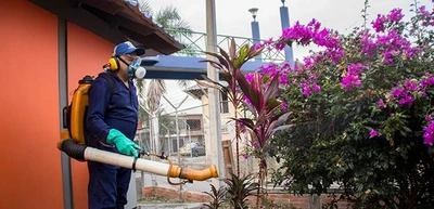 Control del dengue se fortalece en el norte y oriente de Cali