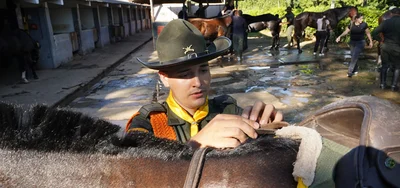 Con cuatro pedradas en la cabeza sale a desfilar el Carabinero de la Policía