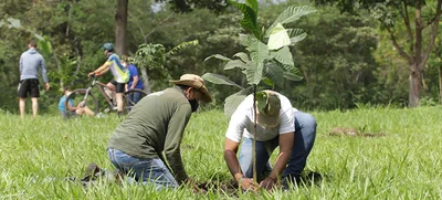 Siembra de plantas, limpieza y ‘parche río’, este sábado en Pilas del Cabuyal
