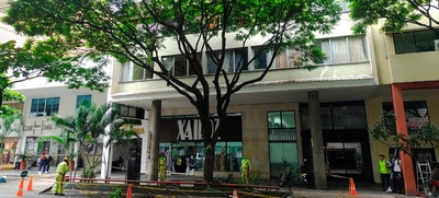 El Dagma realiza mantenimiento preventivo en árboles de la Avenida Sexta