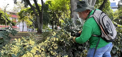 ‘Zonas te Queremos Cali’ resplandece en el Parque Versalles