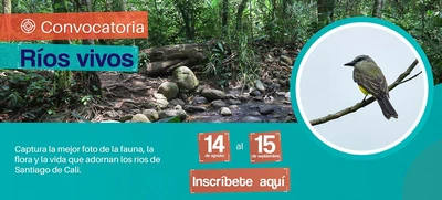 Participa en la convocatoria Ríos Vivos que promueve la convivencia con los seres sintientes