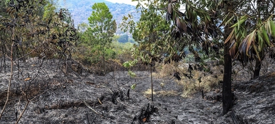 Incendio en ecoparque del cerro La Bandera acabó con unas 20 hectáreas de vegetación