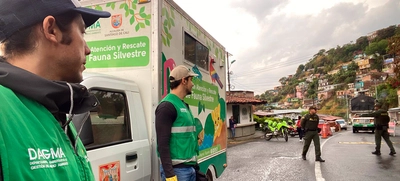 Dagma hace pedagogía y ejerce autoridad para que en el ‘Petronio’ no se comercialicen especies de fauna silvestre