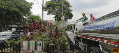 Avanza el mantenimiento de jardines en Cali