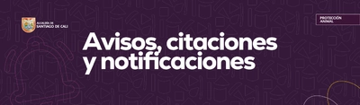 Avisos, citaciones y notificaciones