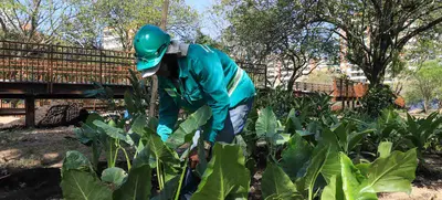 Avanza la renaturalización del ‘Proyecto Integral Cristo Rey’