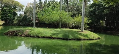 Dagma mejorará condiciones ecológicas de humedal El Retiro