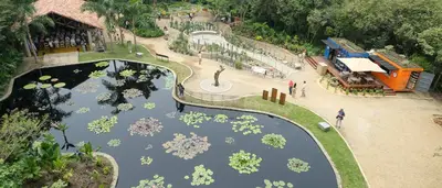 Jardín Botánico de Cali, un nuevo atractivo natural en la ‘sucursal del cielo’