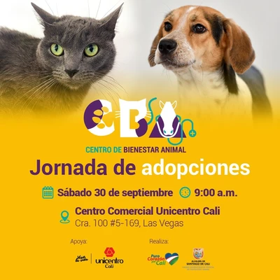 Centro de Bienestar Animal realizará jornada de adopciones