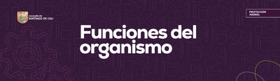 Funciones del Organismo