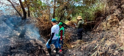 Dagma realizó verificación de afectaciones tras incendio en cerro La Bandera