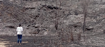 Incendios forestales arrasan la vida y desplazan la fauna en montañas de Cali