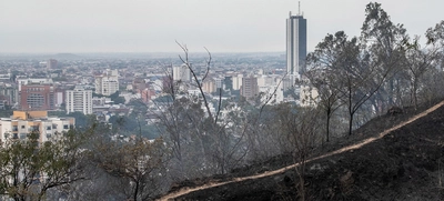 Alentadora jornada para sofocar incendio forestal