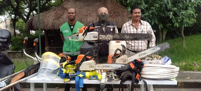 Caleños aliados en la protección del arbolado urbano