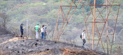 Después de los incendios forestales no se pueden hacer siembras inmediatamente