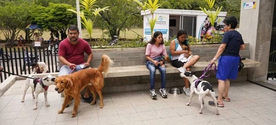 Cali celebró el Día Mundial de los Animales con servicios gratuitos para los consentidos del hogar